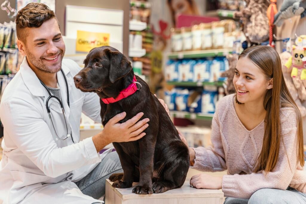 perro-siendo-revisado-por-el-veterinario-en-la-tienda-de-mascotas (1)